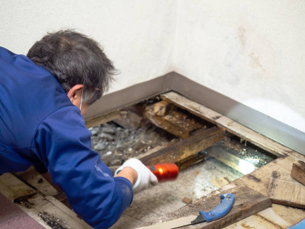 Best Water Damage Restoration  in Colony Rk, PA