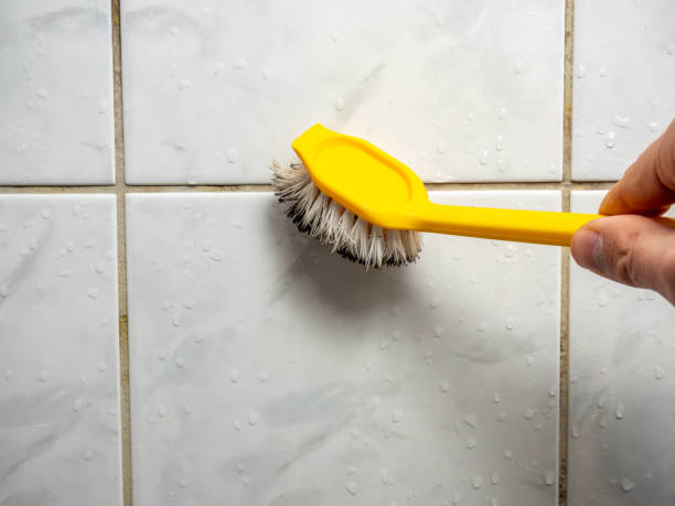 Best Mold Removal Company Near Me  in Colony Rk, PA