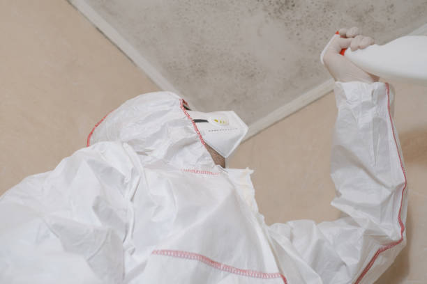 Best Mold Cleaning Services  in Colony Rk, PA